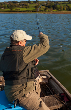 Fly Fishing Rods for Beginners