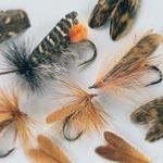 Fly Tying Wings & Tails
