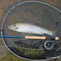 Wychwood Fly Fishing Kit 8'6" #4/5