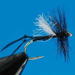 Hawthorn Legged Dry Trout Fishing Fly #12 (D250)
