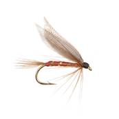 Turrall Red Spinner Wet Winged Trout Fly