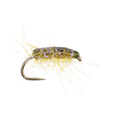 Turrall Shrimp Bug Stalking Trout Fly