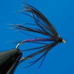 Snipe & Purple Wet Trout Fishing Fly #12 (W238)
