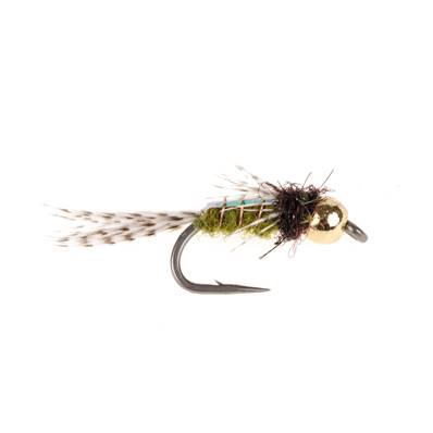 Turrall Flashback Caddis Olive Beadhead Trout Fly