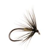 Turrall Gold & Black Spider Wet Barbless Trout Fly
