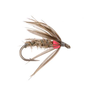 Turrall Dace Ace Coarse Fishing Fly