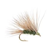 Turrall Sedgehog Olive Caddis / Sedge Trout Fly