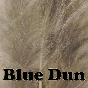 Veniard Blue Dun