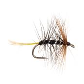 Turrall Kate Maclaren Wet Hackled Trout Fly