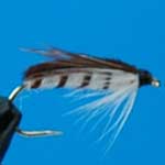 Corixa Nymph Trout Fishing Fly #12 (N39)