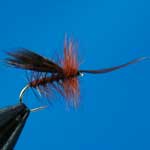 Horned Sedge Brown Special Dry Trout Fishing Fly #12 (D514)