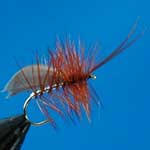 Horned Sedge Silver Special Dry Trout Fishing Fly #12 (D520)