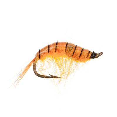 Turrall Orange Belly Shrimp Nordic Trout Fly