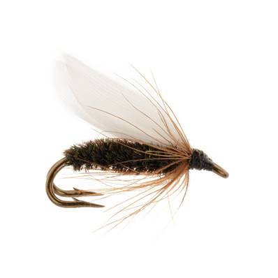 Turrall Coachman Double Trout Fly