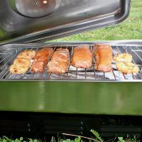 Snowbee Smoker Cooker