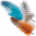 Guinea Fowl Fly Tying Feathers