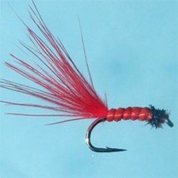 Turrall Bloodworm Micro Fly - DG16