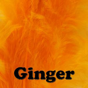 Veniard Ginger