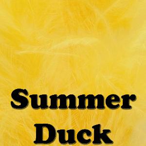 Veniard Summer Duck