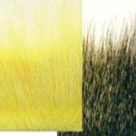 Nutria Fur (Coypu) Fly Tying Fur