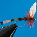Royal Coachman Dry Trout Fishing Fly