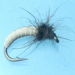 Turrall Roach Grub Fly - DG19