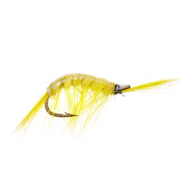 Turrall Yellow Gammarus Nordic Trout Fly