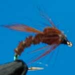 Emerger Brown Buzzers Sprm Trout Fishing Fly #12 (N764)