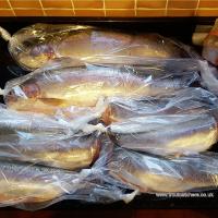 Fish Freezer Bags - Trout