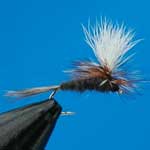 Adams Parachute Dry Trout Fishing Fly #14 (D75)
