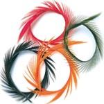 Goose Fly Tying Feathers