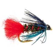 Turrall Goats Toe Wet Hackled Trout Fly