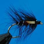 Junglecock Bibio Wet Trout Fishing Fly #10 (W158)