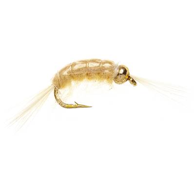Turrall Tan Scud Beadhead Trout Fly
