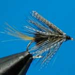Grey Ghost Wet Irish Bumble Trout Fishing Fly #12 (W313)