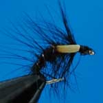 Snatcher Black Jc Wet Trout Fishing Fly #12 (W220)