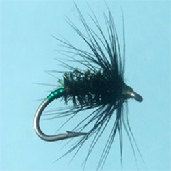 Turrall Black Peacock Green Holo Fly - DG15
