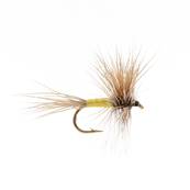 Turrall Grizzly Wulff Dry Trout Fly