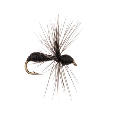 Turrall Ant Black Coarse Fishing Fly