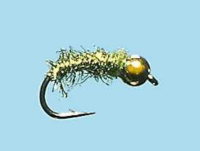 Turrall Bead / Gold Head Caddis Worm Flash Olive - Bh06