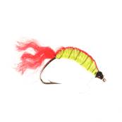 Turrall Maggot Shrimp Red Nordic Trout Fly