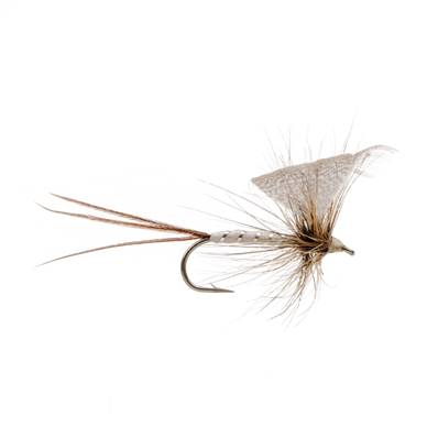 Turrall White Drake Mayfly Trout Fly