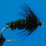 Black & Peacock Spider Wet Trout Fishing Fly #12 (W13)