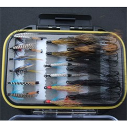 Turrall Fly Pod Sea Trout Selection - FPOD24