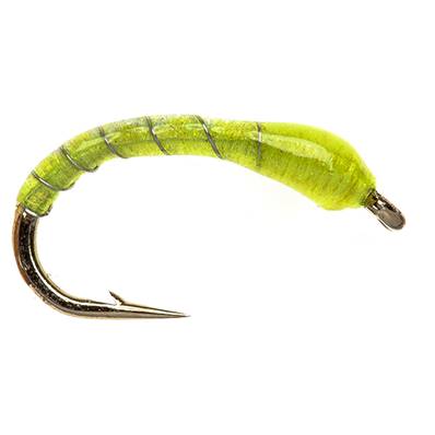 Turrall Epoxy Flashback Chartreuse Buzzer Trout Fly