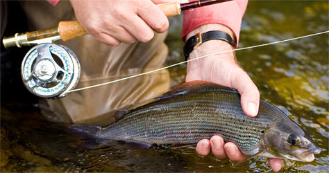 Discount Fly Fishing Equipment