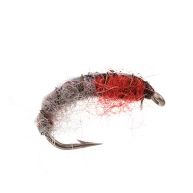 Turrall Brown Czech Nymph Trout Fly