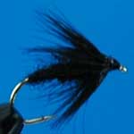 Black Spider Wet Trout Fishing Fly #14 (W34)