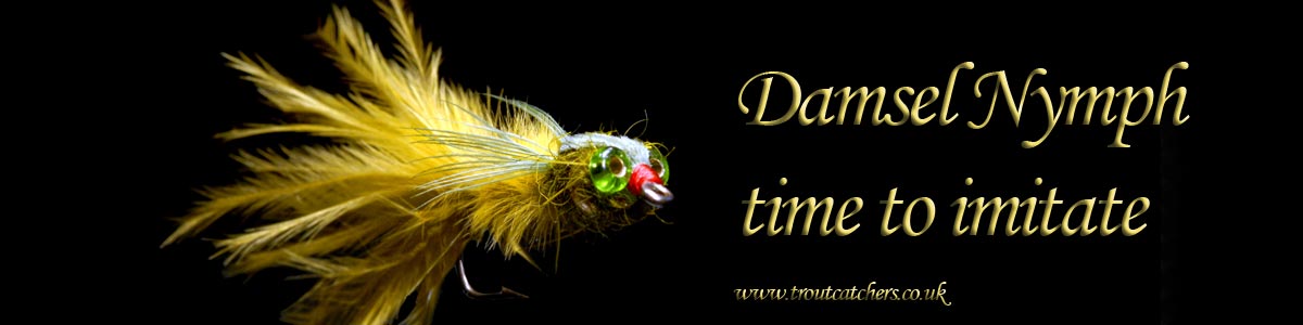 Damsel Nymph Fly Fishing